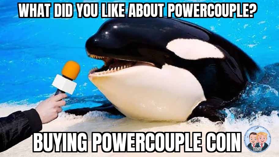 Orca talking into a microphone